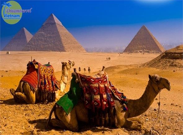 Tour du lịch Ai Cập 9 ngày 8 đêm trải nghiệm hàng không 5 sao 